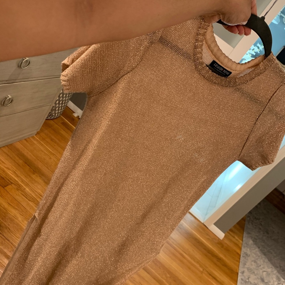 Fashion Nova Sheer Shiny Long Top